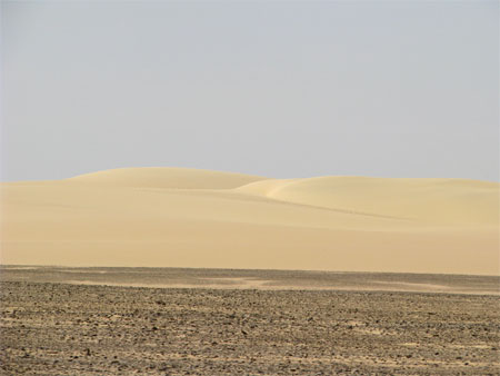遠くに見える砂丘。